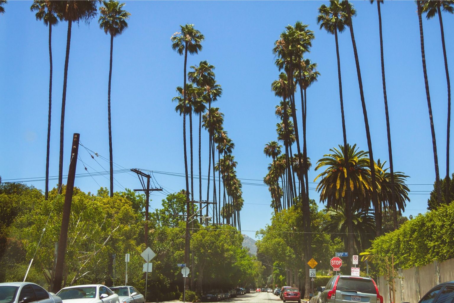 Rodeo & Pegasus Charms: Collectible or Trend, Impact on Value