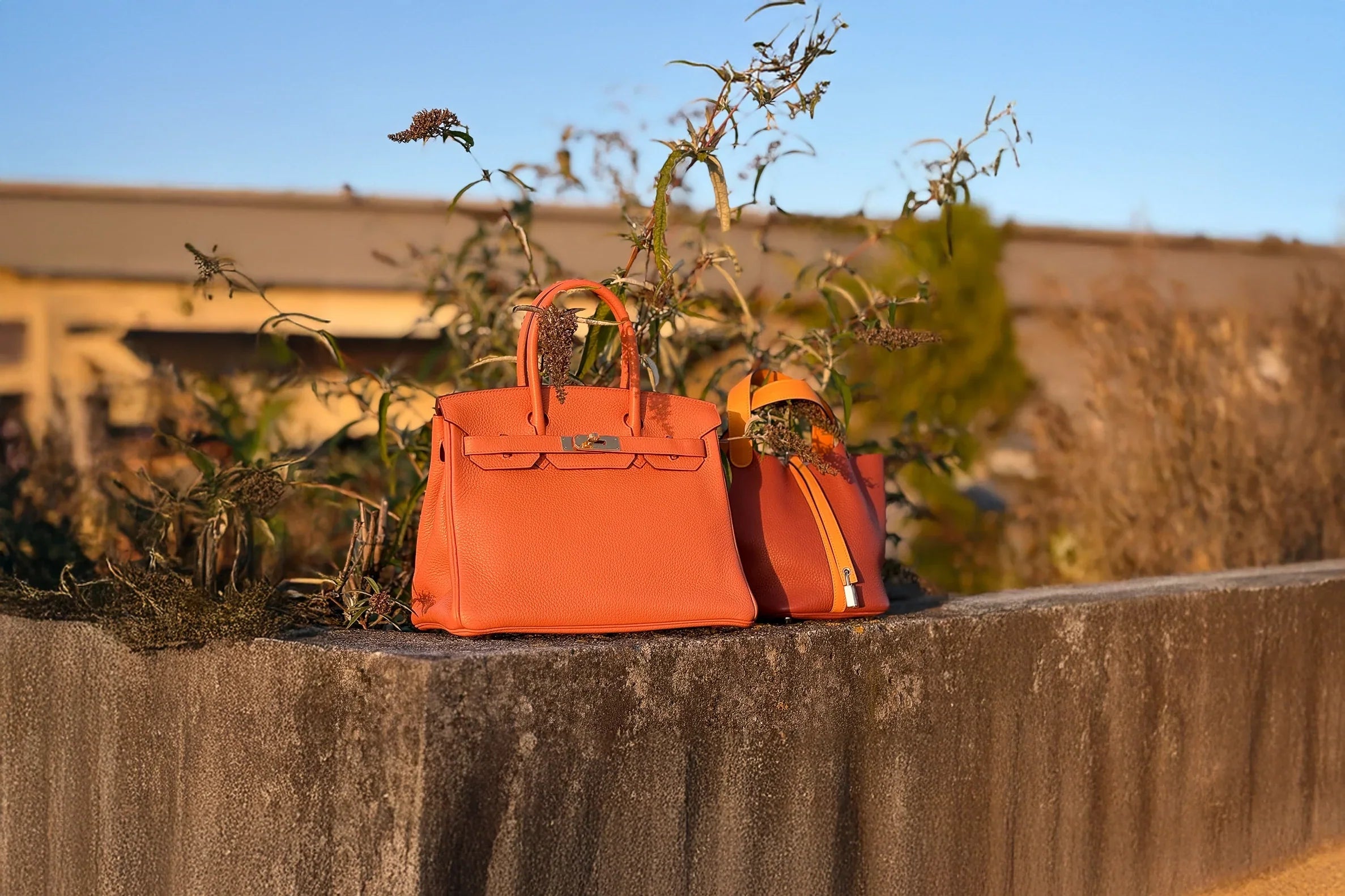 “Store Fresh” vs. New: What the Terms Actually Mean to Collectors