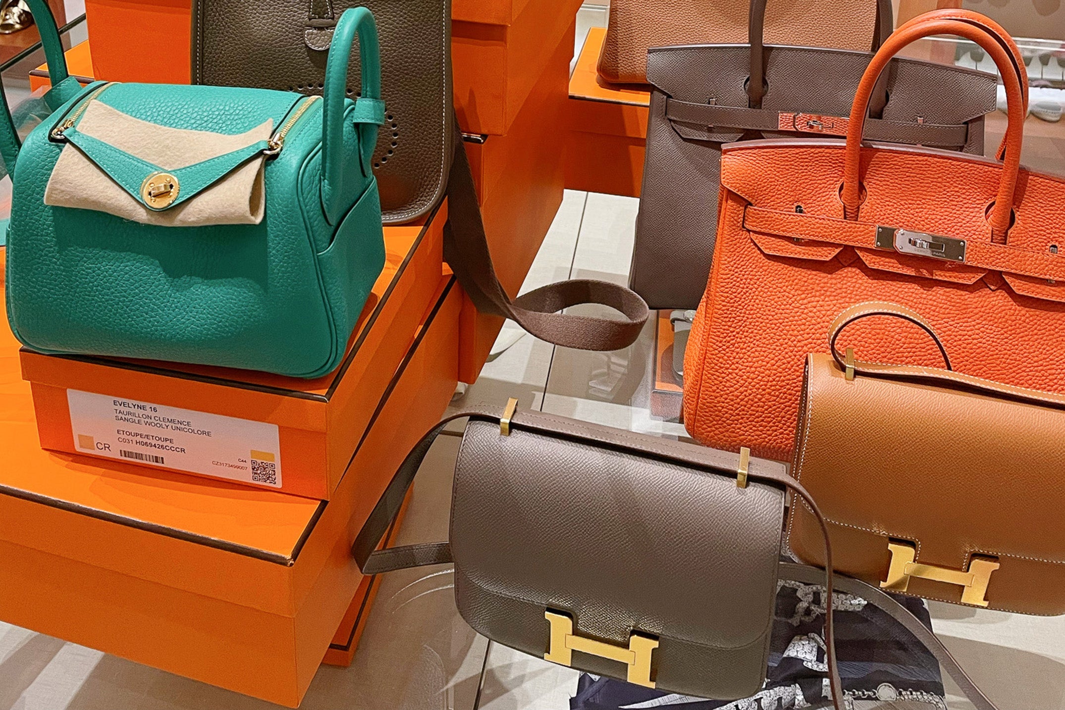 Exotic Leather Laws by Region: What’s Legal to Buy, Sell, or Ship in 2025