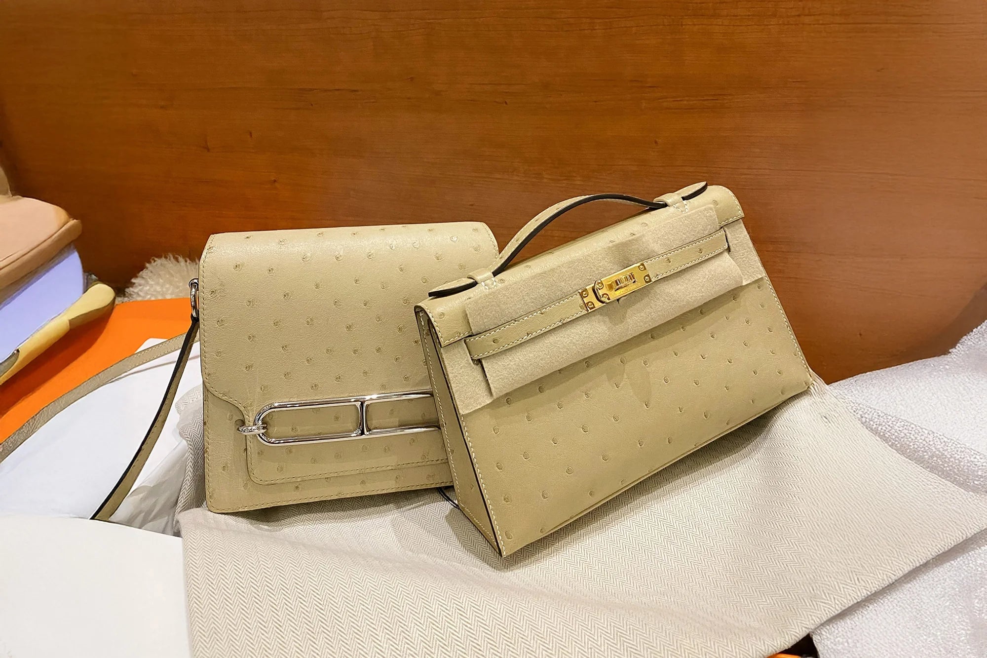 Predicting Luxury Bag Trends: Which Bags Could be Future Classics?