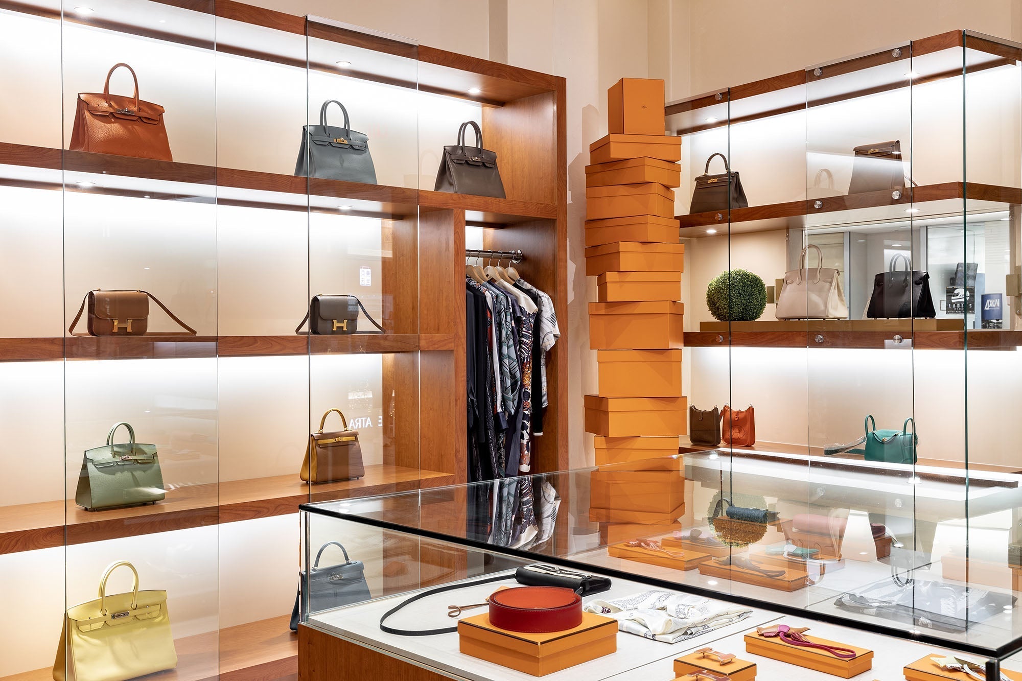 Display vs. Storage: UV, Dust, and Display Case Best Practices