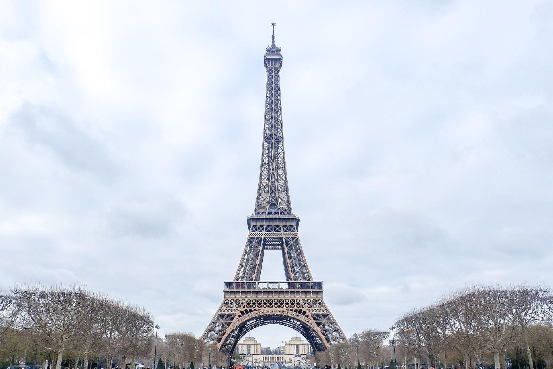 Birkin And Kelly Become Wall Street Asset