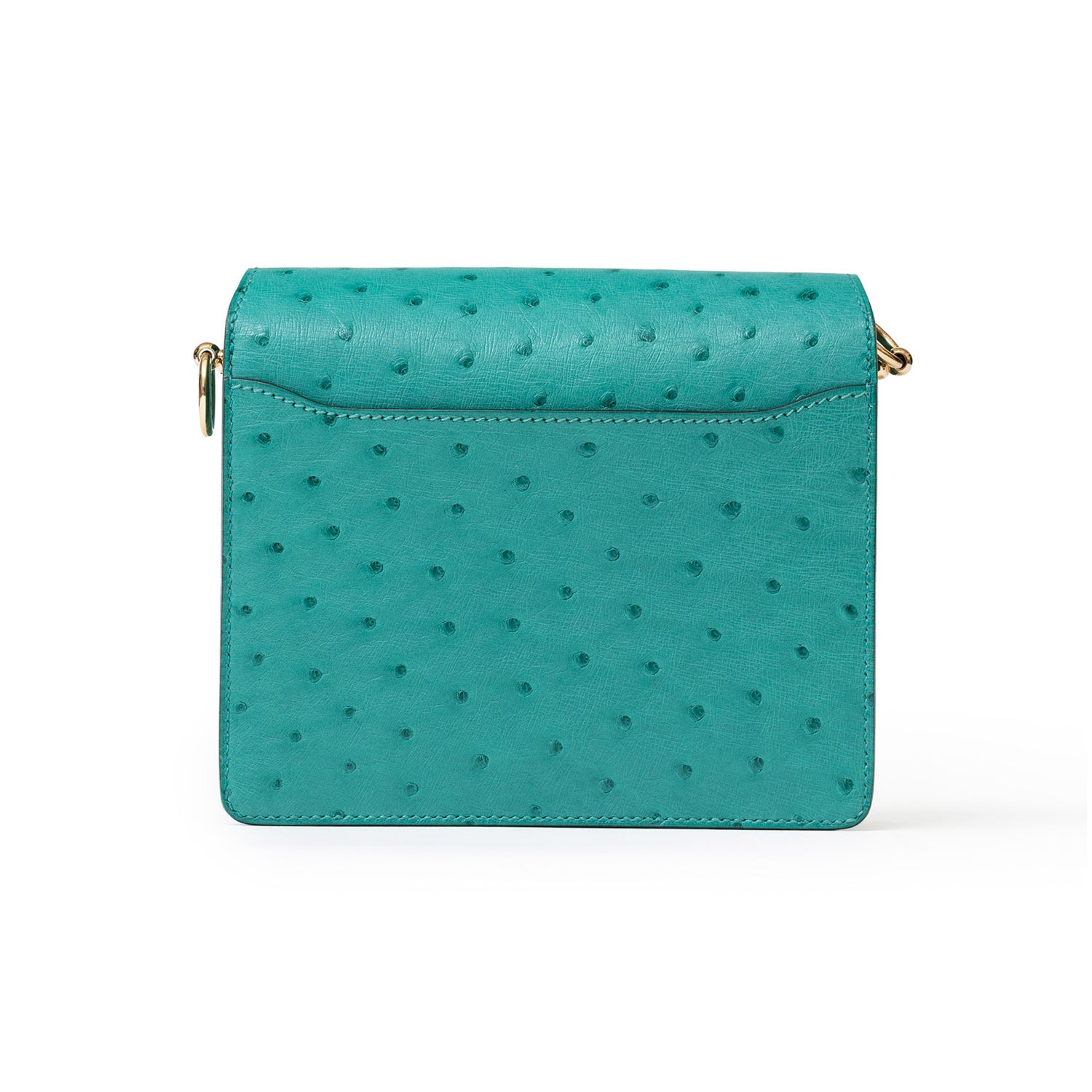Hermès Mini Roulis Ostrich Vert Verone Permabrass Hardware - Back
