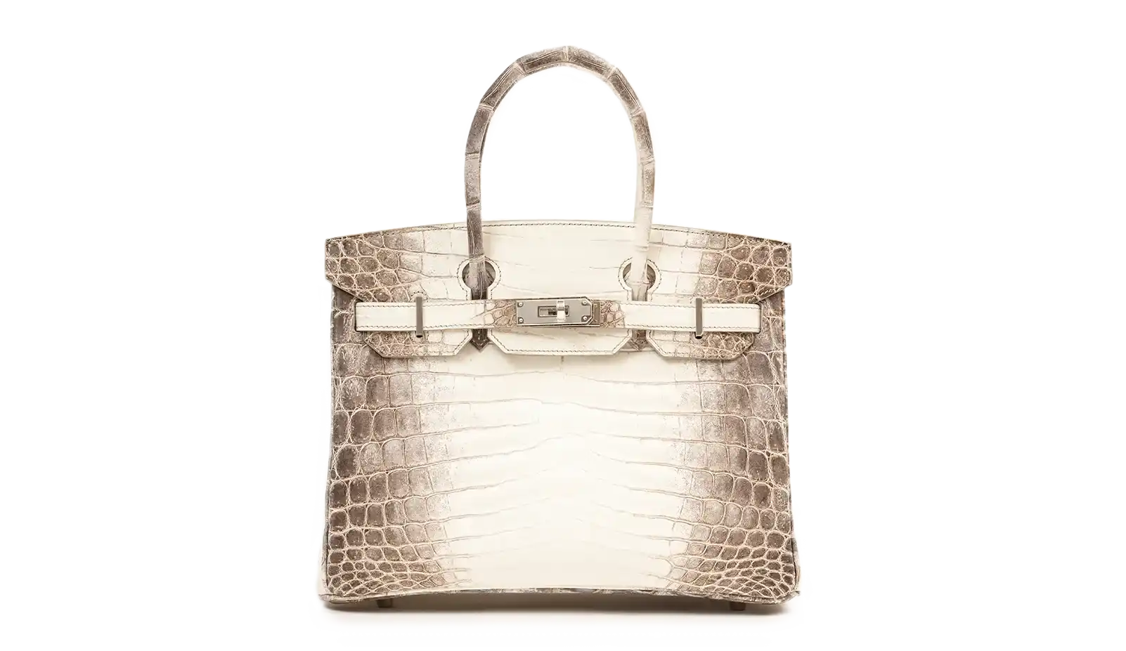 White and gray crocodile Birkin bag.