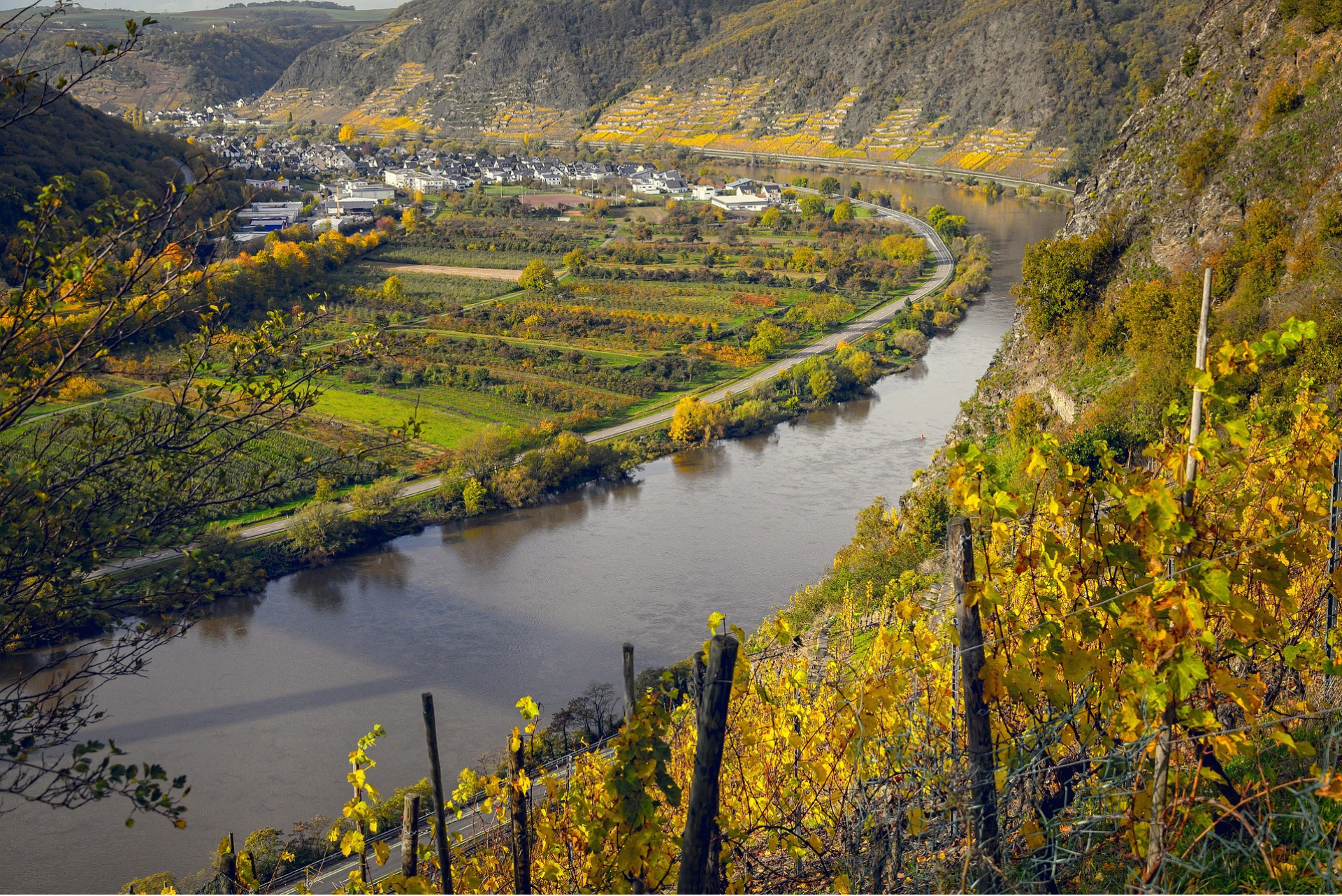 Why Chanel Bags With Service History Attract Higher Offers