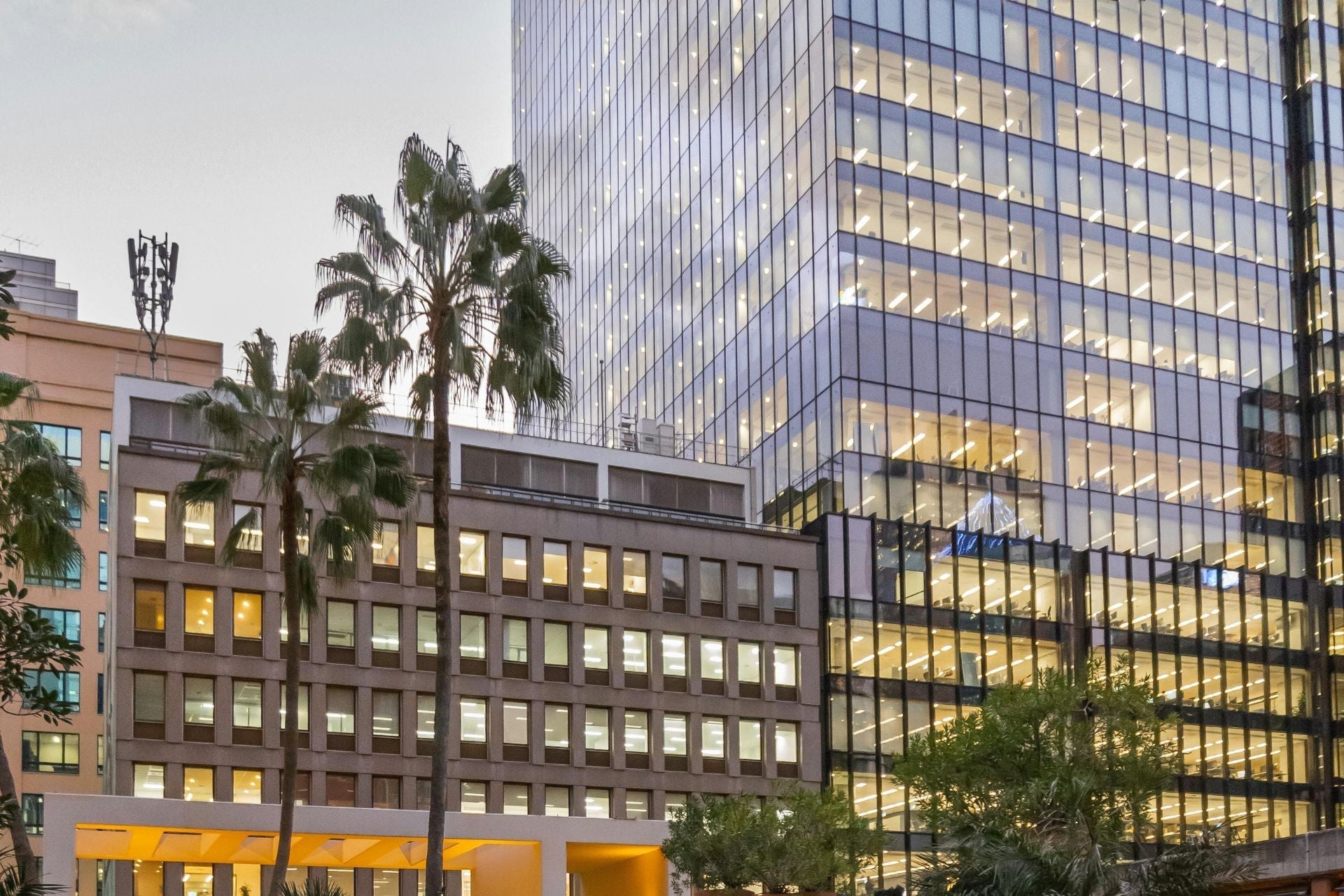 What Makes Certain Van Cleef Designs More Desirable in Resale Markets