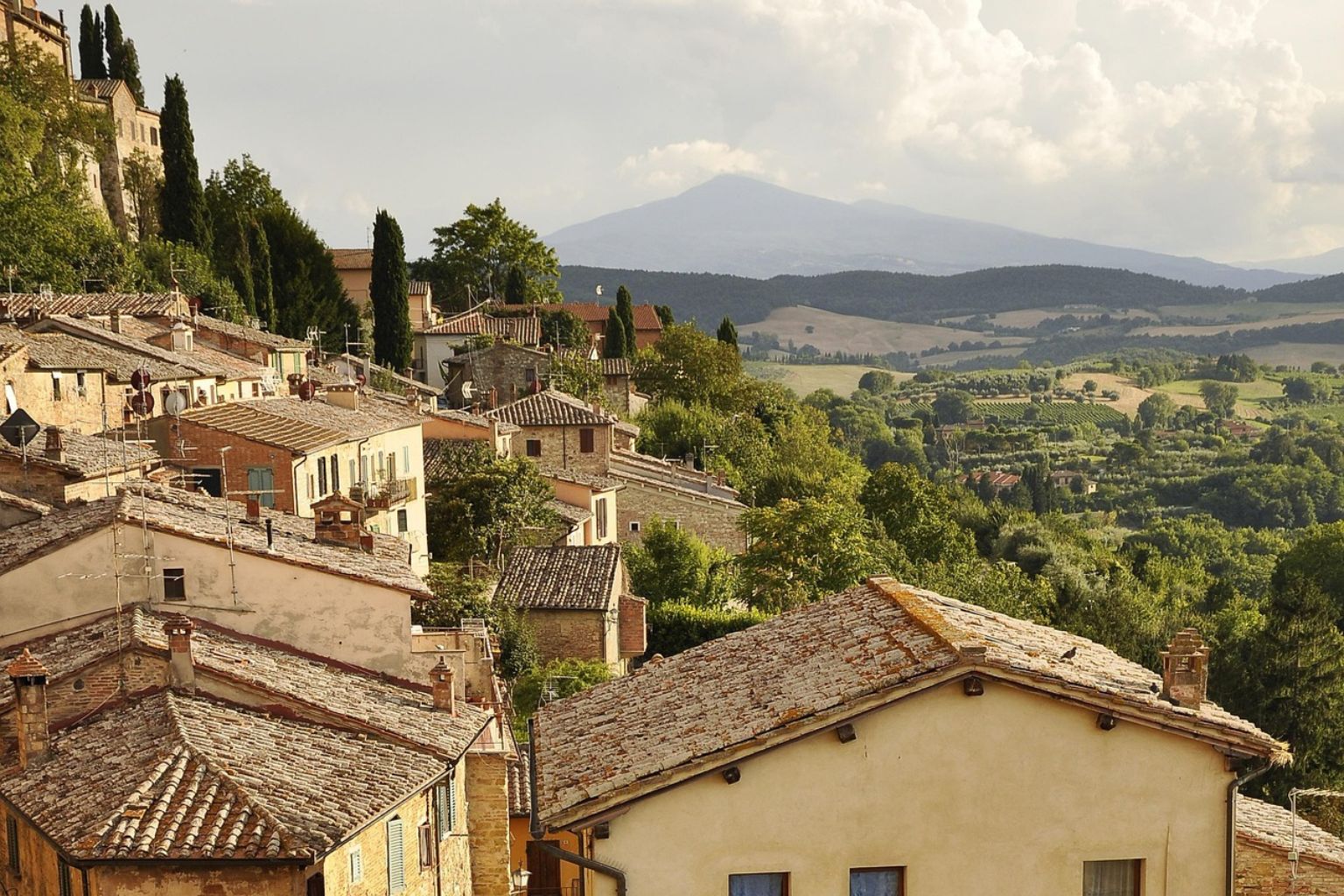 Display vs. Storage: UV, Dust, and Display Case Best Practices