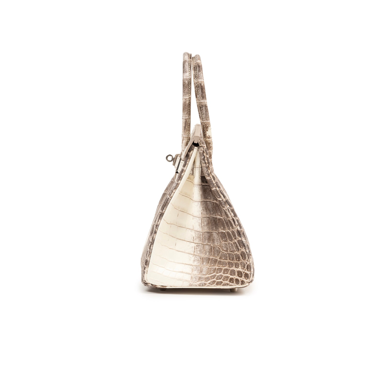 Side view of Hermès Himalaya Birkin 30 Matte Niloticus Crocodile Palladium Hardware in gradient tones