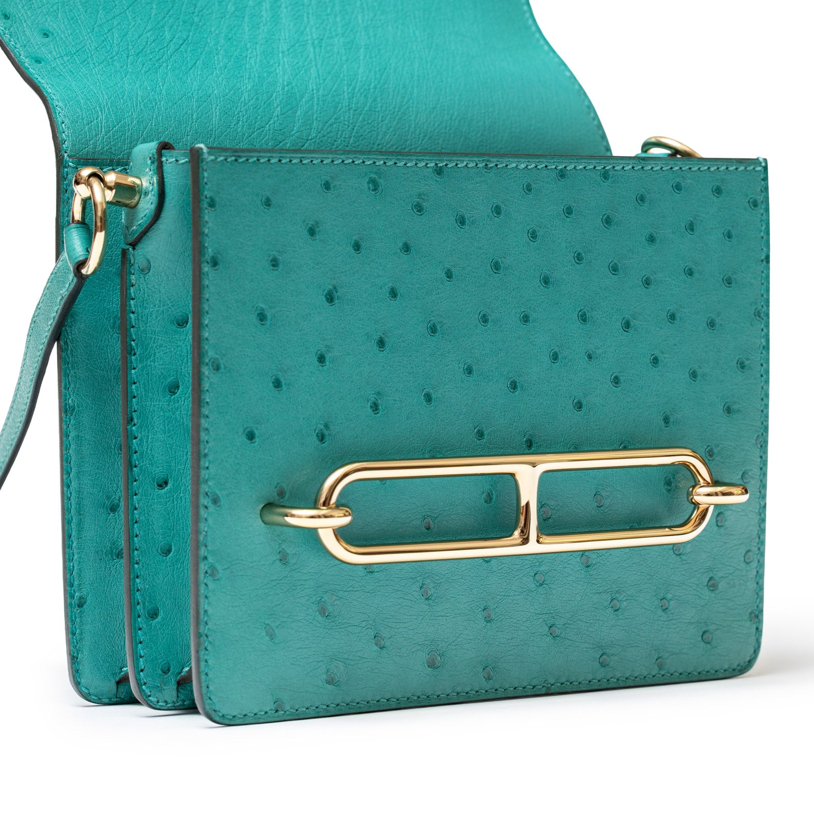 Hermès Mini Roulis Ostrich Vert Verone Permabrass Hardware - Close Up
