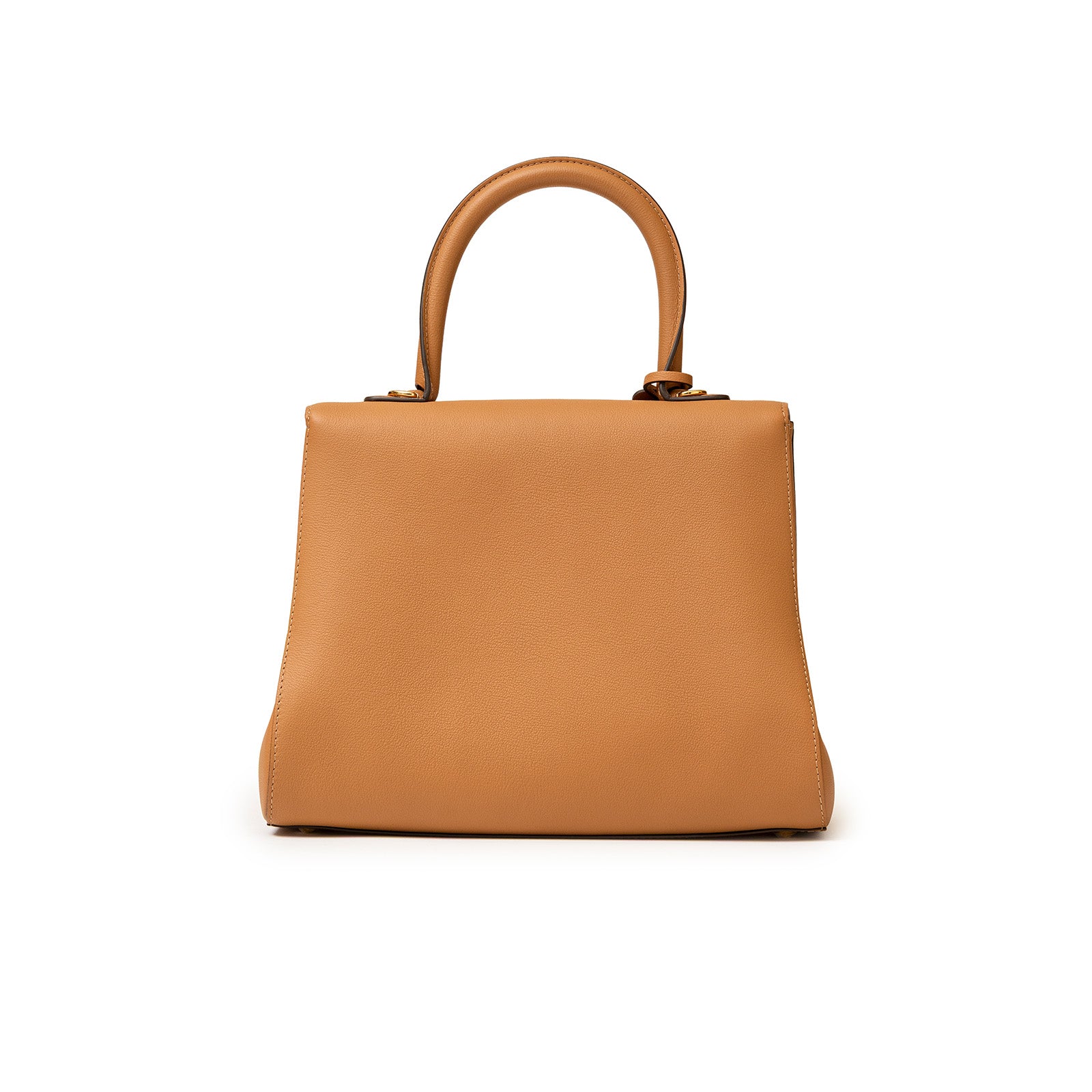 Delvaux Brillant MM S Rodeo Calf Vegetal Gold Hardware