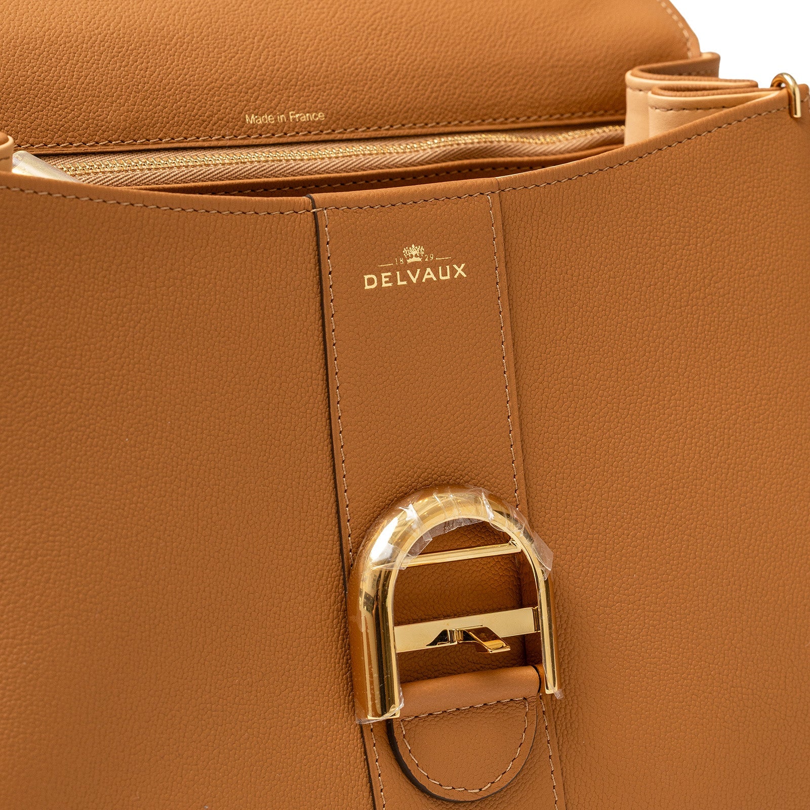 Delvaux Brillant MM S Rodeo Calf Vegetal Gold Hardware