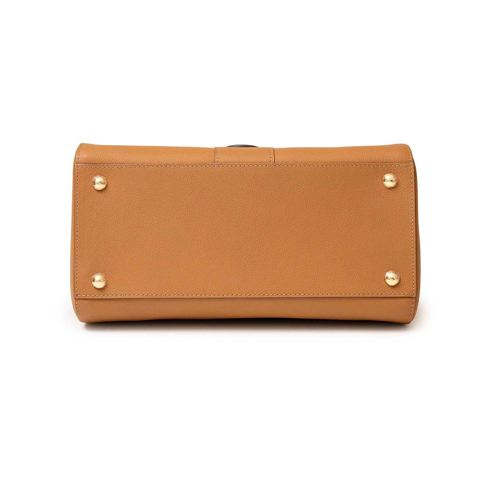 Delvaux Brillant MM S Rodeo Calf Vegetal Gold Hardware