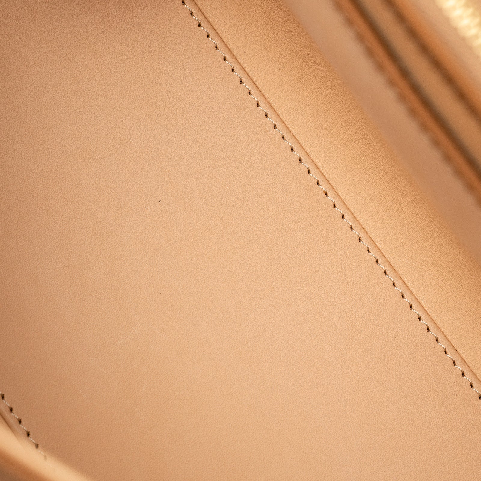 Delvaux Brillant MM S Rodeo Calf Vegetal Gold Hardware