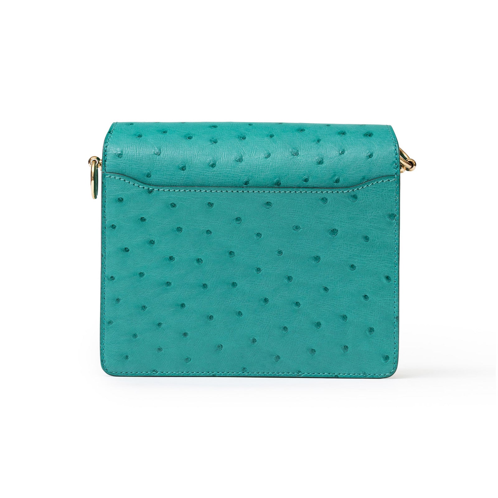 Hermès Mini Roulis Ostrich Vert Verone Permabrass Hardware - Back